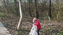 Dobrovolníci ze spolku Kruštík vyčistili Kolín a okolí od odpadků, plastů i černých skládek.