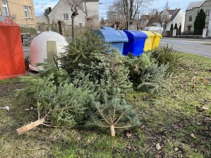 Vánoční stromky u kontejnerů na odpad v Kolíně.