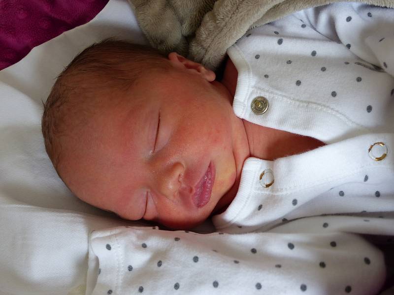 Rozárka Němcová se narodila 19. dubna 2022 v kolínské porodnici, vážila 2615 g a měřila 45 cm. Do Okřínku odjela s bráškou Vojtou (16 měsíců) a rodiči Michaelou a Jakubem.