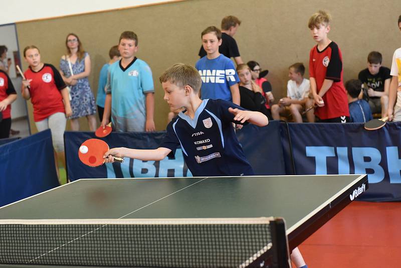 Žáci základních škol z kolínského regionu si užijí sportovní týden.