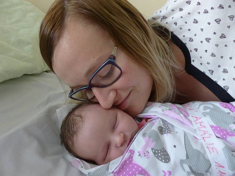 Amálie Knická se narodila 1. listopadu 2021 v kolínské porodnici, vážila 3400 g a měřila 50 cm. V Kolíně bude vyrůstat s maminkou Michaelou a tatínkem Tomášem.