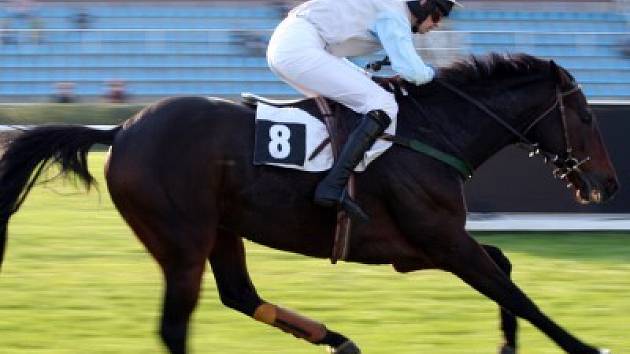 Vítěz je jen jeden. Takové pravidlo obecně platí jak ve sportovních soutěžích, tak v Evropské ceně  podnikatelů.