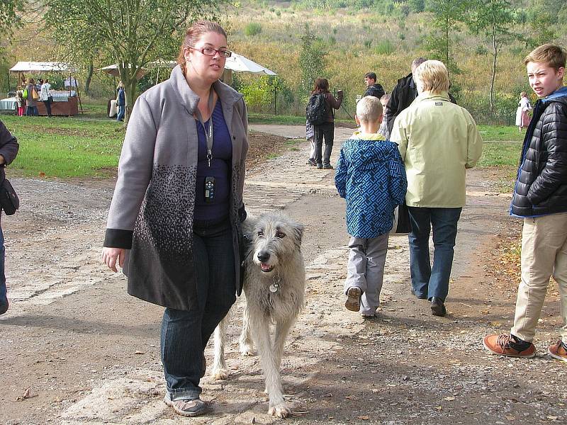 Svatohavelské posvícení 2016 v kouřimském skanzenu