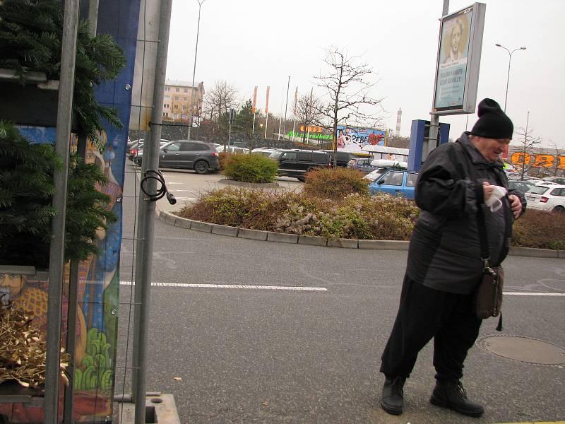 Prodej vánočních stromků a jmelí u hypermarketu Tesco v Kolíně.