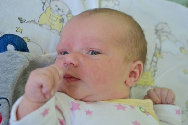 Hanka Svádová se narodil 2. září 2013 s mírami 3520 gramů a 52 centimetry. Maminka Jaroslava a tatínek Jakub si ji odvezou domů do Skramníků, kde už na sestřičku čekají dva bráškové – dvojčata Tadeáš a Albert, kterým je tři a půl roku.