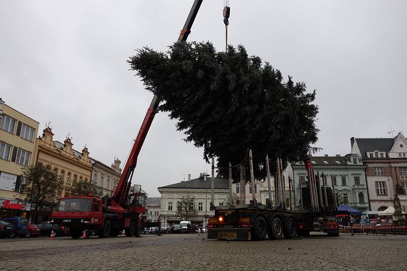 Na Karlovo náměstí v Kolíně dorazil vánoční strom.