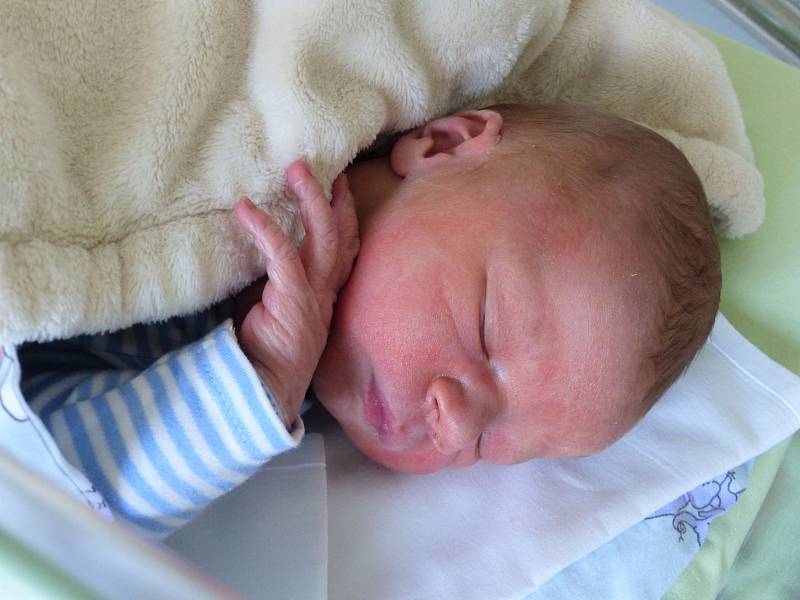 Jan Víceník se narodil 13. listopadu 2022 v kolínské porodnici, vážil 3540 g a měřil 51 cm. Do Kácova odjel s maminkou Terezou a tatínkem Pavlem.