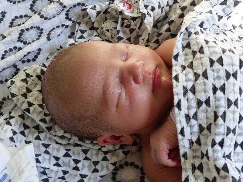 Stela Ehrmanová se narodila 30. května 2022 v kolínské porodnici, vážila 3940 g a měřila 51 cm. Ve Veltrubech ji přivítali sourozenci Anna (19), Pavel (15), Terezka (9) a rodiče Anna a Pavel.