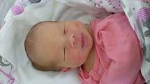 Šárka Strnadová se narodila 11. května 2022 v kolínské porodnici, vážila 3030 g a měřila 49 cm. Do Štíhlic odjela se sestřičkou Klárkou (3) a rodiči Martinou a Josefem.