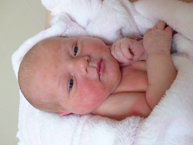 Karolína Proňka se narodila 23. listopadu 2022 v kolínské porodnici, vážila 3295 g a měřila 50 cm. V Kolíně se z ní těší maminka Denisa a tatínek Oleksandr.