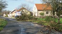 Spadané stromy komplikovaly lidem cestu do práce také na Českobrodsku.