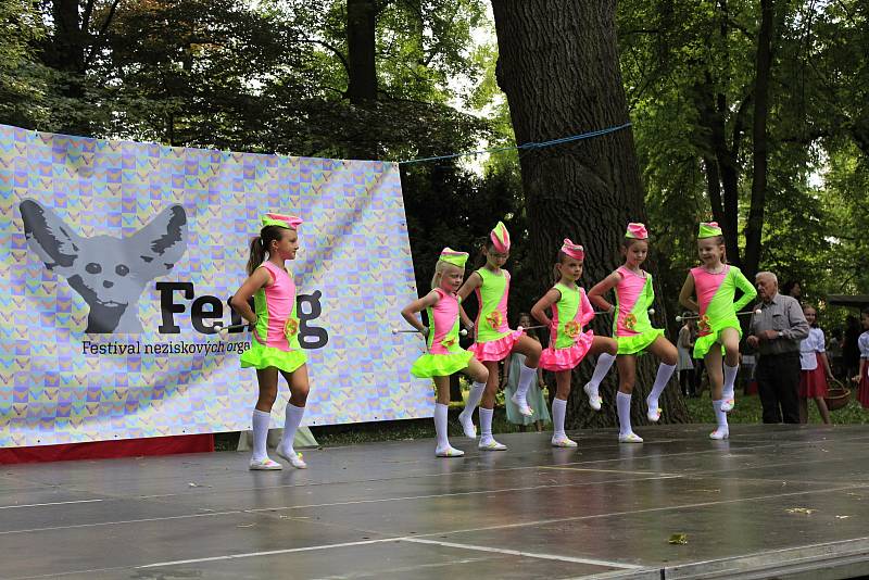 V sobotu se u pivovarského rybníka v Českém Brodě konal festival neziskových organizací.