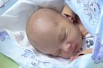 Dominik Vondra se narodil 8. dubna 2022 v kolínské porodnici, vážil 3150 g a měřil 49 cm. V Kolíně ho přivítal bráška Kryštůfek (2.5) a rodiče Veronika a Tomáš.