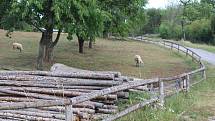 Voničková sobota v kouřimském skanzenu.