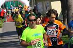 59. ročník kolínského půlmaratonu KVOK