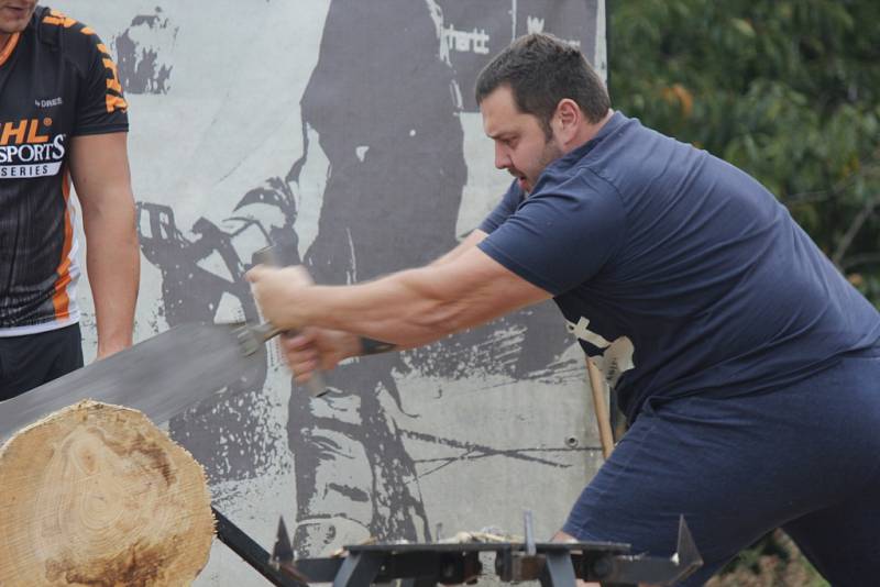 Nedělní odpoledne ve Viticích zpestřil Timbersports.