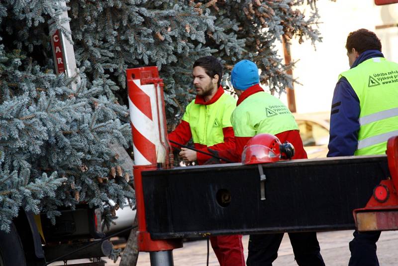 Vánoční strom na kolínském Karlově náměstí.