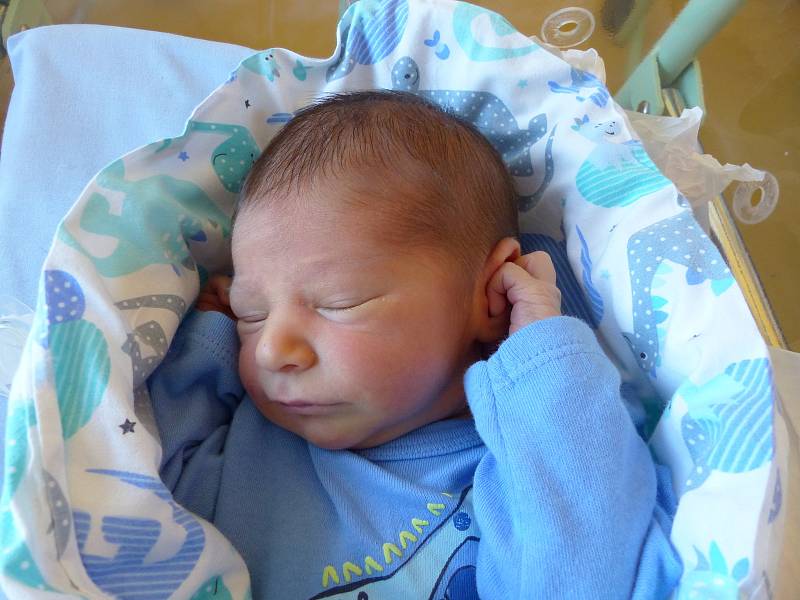 Dominik Pokorný se narodil 18. ledna 2019, vážil 3135 g a měřil 51 cm. V Libodřicích ho přivítá bráška Tobiáš (2) a rodiče Lenka a Tomáš.