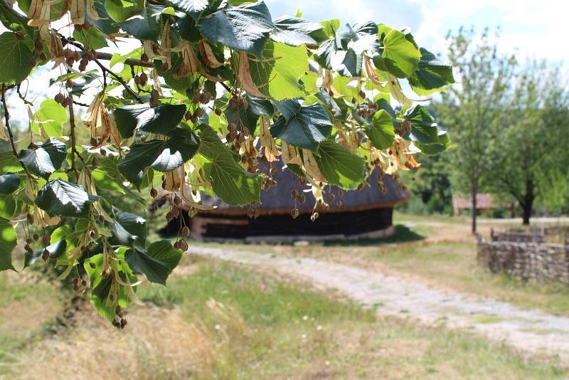 Voničková sobota v kouřimském skanzenu.