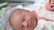 Šárka Nelibová se narodila 3. května 2022 v kolínské porodnici, vážila 4030 g a měřila 52 cm. Do Horních Krut odjela s bráškou Marečkem (3) a rodiči Denisou a Patrikem.