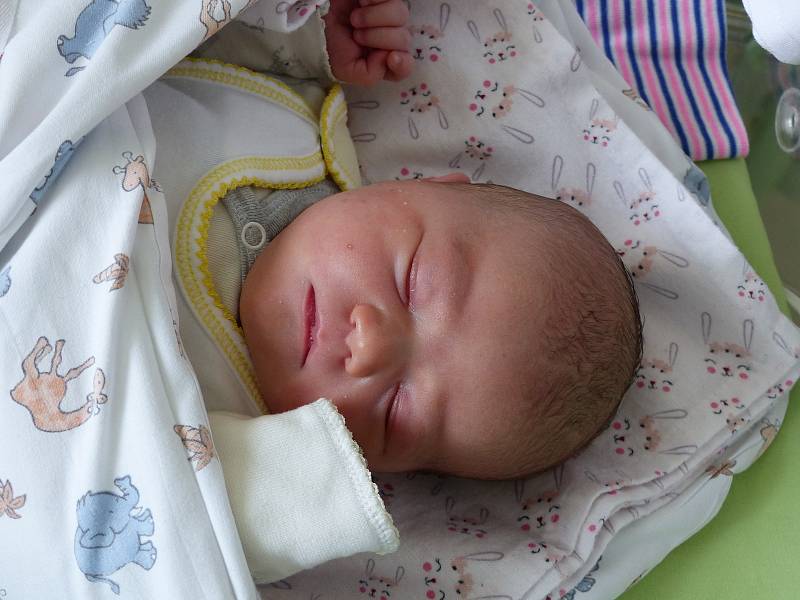 Viktorie Štěpařová se narodila 28. března 2021 v kolínské porodnici, vážila 3475 g a měřila 50 cm. V Radimi se z ní těší bráška Oliver  (2) a rodiče Michaela a Jaroslav.