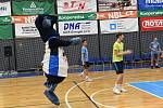 Vánoční sbírka pro Dětské centrum Kolín a pro sedmiletého Matyáše v rámci basketbalovému maratonu.