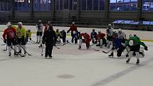 Po pěti měsících zpátky v bruslích. Hokejisté Kolína v pondělí odstartovali v Poděbradech úvodním tréninkem přípravu na ledě