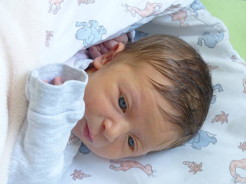 Elena Vedralová se narodila 19. září 2022 v kolínské porodnici, vážila 3220 g a měřila 49 cm. V Kouřimi ji přivítal bráška Sebík (3) a rodiče Markéta a Petr.
