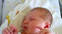 Prvním potomkem maminky Kateřiny a tatínka Jana z Kutné Hory je dcera. Teodora Vrzalíková se rozkřičela 12. srpna 2015 s výškou 48 centimetrů a váhou 3130 gramů.