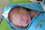 Dominik Dušek se narodil 6. ledna 2020 v kolínské porodnici, vážil 4410 g a měřil 54 cm. Do Poděbrad odjel se sourozenci Markem (10), Gábi (6), Filipem (3) a rodiči Šárkou a Radkem.