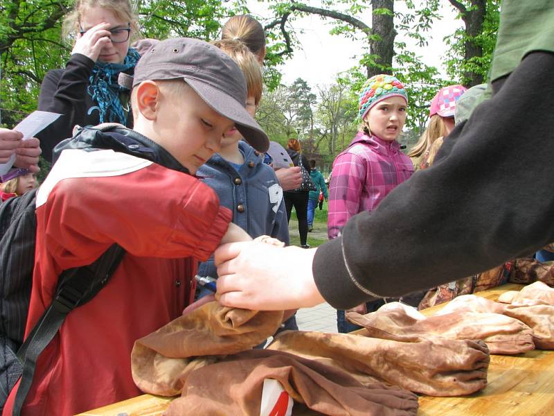 Den Země v kolínských Borkách