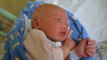 František Kadlec se narodil 28. května 2013 coby prvorozený mamince Pavle a tatínkovi Pavlovi z Kutné Hory. Jeho první míry byly 51 centimetr a 3730 gramů.