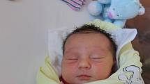 Desetiletá Terezka se dočkala sestřičky. Adéla Bajerová se narodila 29. května 2017 s váhou 3025 gramů. Společně s rodiči Lucií a Lukášem budou děvčata žít v Kolíně. 