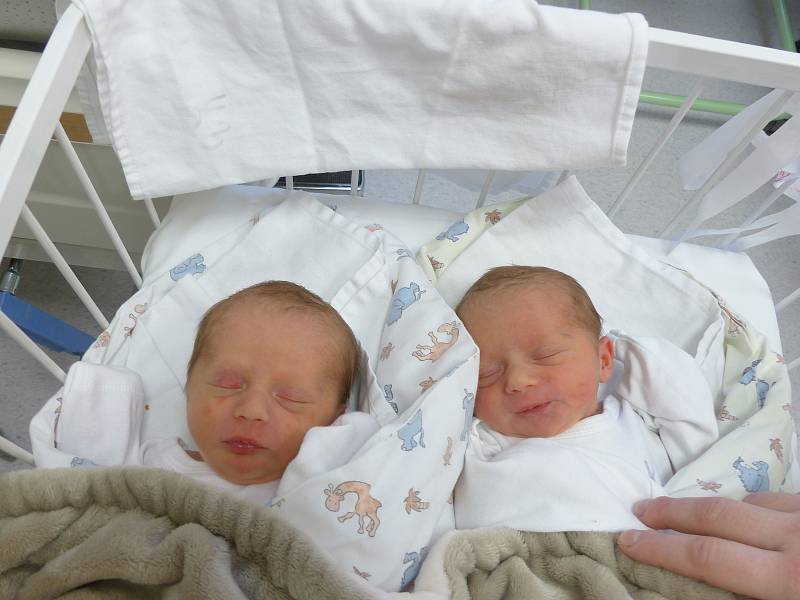 Kamila a Karolína Najbrtovy se narodily 27. února 2021 v kolínské porodnici. Kamila vážila 2530 g a měřila 48 cm. Karolína měla míry 2275 g a 45 cm. V Pískové Lhotě se z nich těší maminka Klára a tatínek Kamil.
