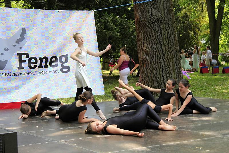 V sobotu se u pivovarského rybníka v Českém Brodě konal festival neziskových organizací.