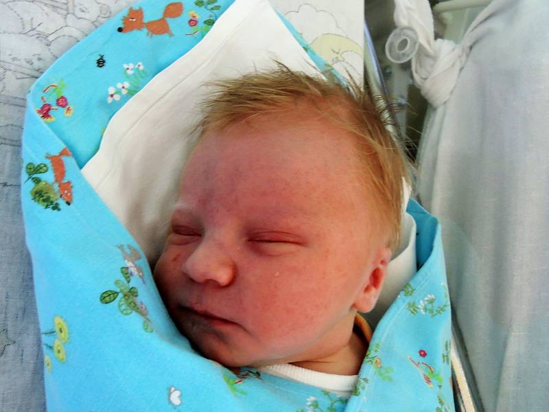 Adam Novák je prvorozeným synem Libora a Anežky z Poděbrad. Na svět se poprvé podíval 10. května 2017 s váhou 3320 gramů a výškou 50 centimetrů. 