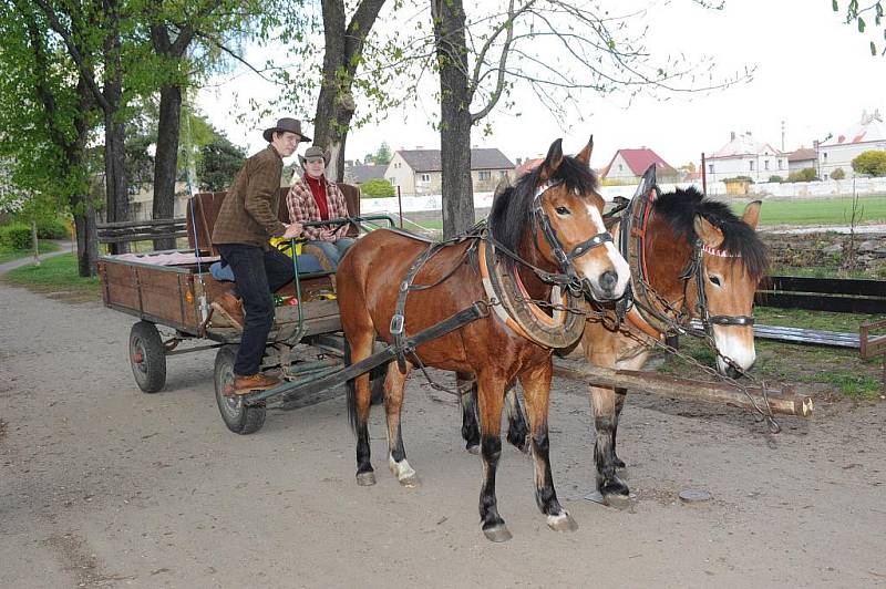 Den Země v kolínských Borkách