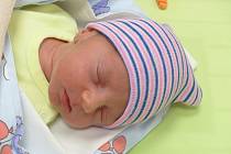 Štěpán Linart se narodil 16. ledna 2022 v kolínské porodnici, vážil 2715 g a měřil 48 cm. V Nové Vsi I - Ohradě se z něj těší maminka Michaela a tatínek Petr.