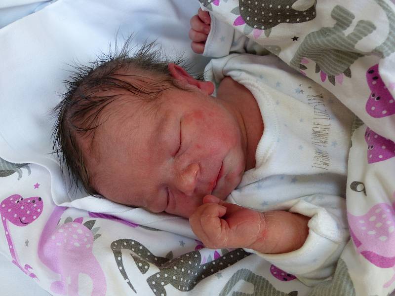 Daniela Poulová se narodila 21. dubna 2019, vážila 2590 g a měřila 49 cm. Domů do Radovesnic II pojede se sestřičkou Natálkou (1.5) a rodiči Nikolou a Davidem.