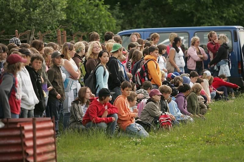 Letové ukázky dravých ptáků u kolínského psího útulku. 2.6. 2009