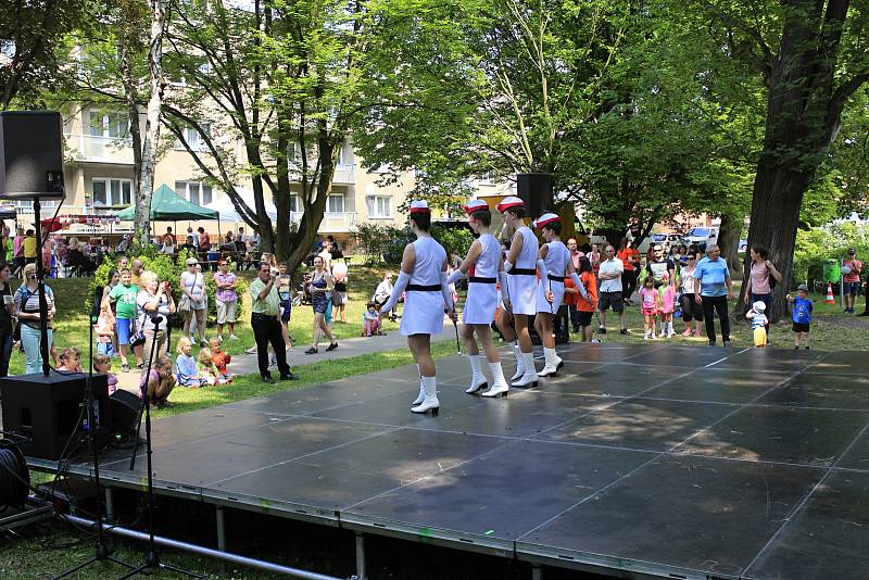 V sobotu se u pivovarského rybníka v Českém Brodě konal festival neziskových organizací.