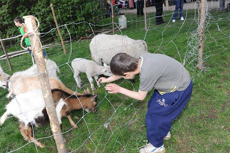 Den Země v kolínských Borkách