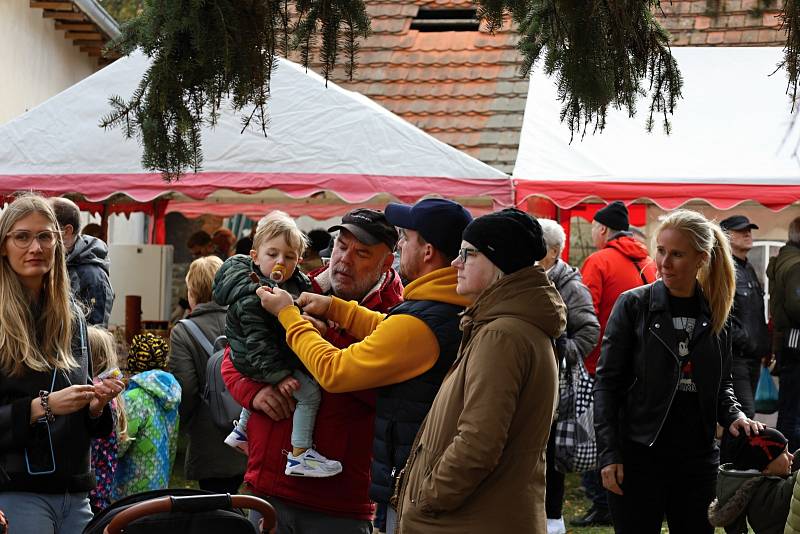 Z pečení chleba ve Štolmíři 23. října 2021.