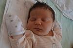 Laura Stehlíková se narodila coby prvorozená 22. června 2015 mamince Veronice a tatínkovi Zdeňkovi z Plaňan. Po porodu měřila 50 centimetrů a vážila 3515 gramů.