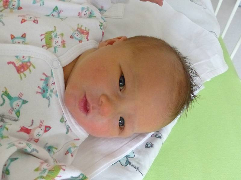 Dominika Grolmusová se narodila 27. února 2021 v kolínské porodnici, vážila 3480 g a měřila 49 cm. Do Kosic odjela s maminkou Kristýnou a tatínkem Miroslavem.