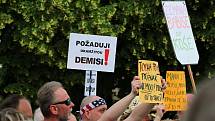 Z protibabišovské demonstrace v Českém Brodě.