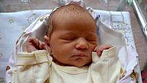 Dana Jechová se narodila 18. srpna 2014 s mírami 50 centimetrů a 3930 gramů. V Konárovicích se z ní radují maminka Dana, tatínek Jiří a sestřičky Eliška (10) se Štěpánkou (6).