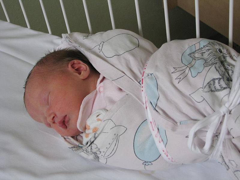 Marie Horecká se s mírami 3820 gramů a 51 centimetrů narodila 10. ledna 2012. Maminka Jana a tatínek Petr si ji odvezou domů do Sudějova, kde už na ni čeká bráška Toník. 