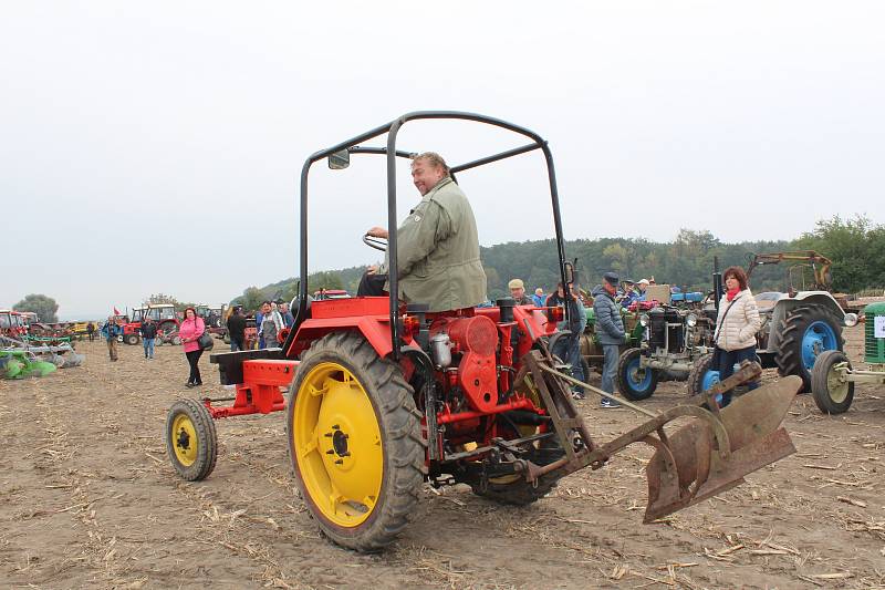 Starokolínská brázda 2017.