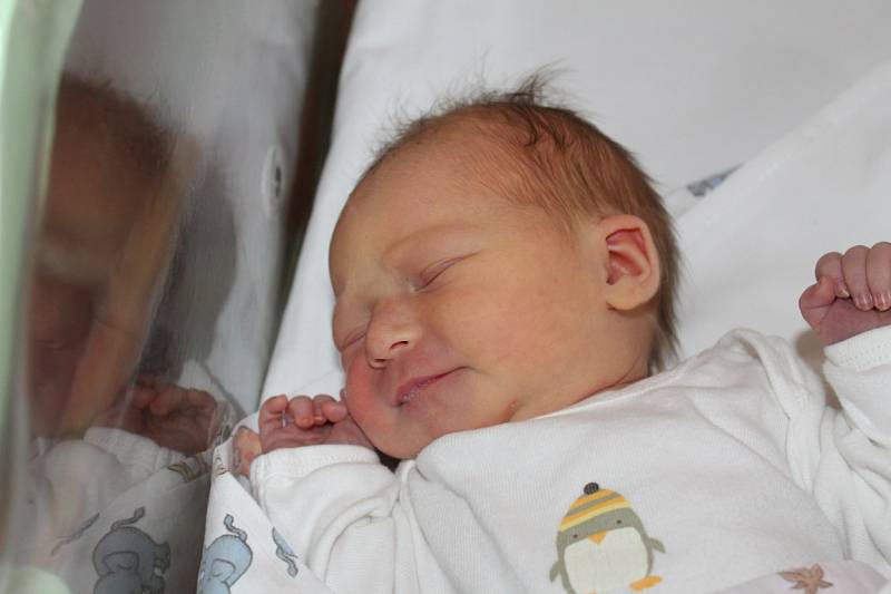 Sofie Vafková je prvorozenou dcerou Jitky a Josefa z Přistoupimi. Na svět přišla 10. října 2017 s váhou 2805 gramů a výškou 48 centimetrů. 